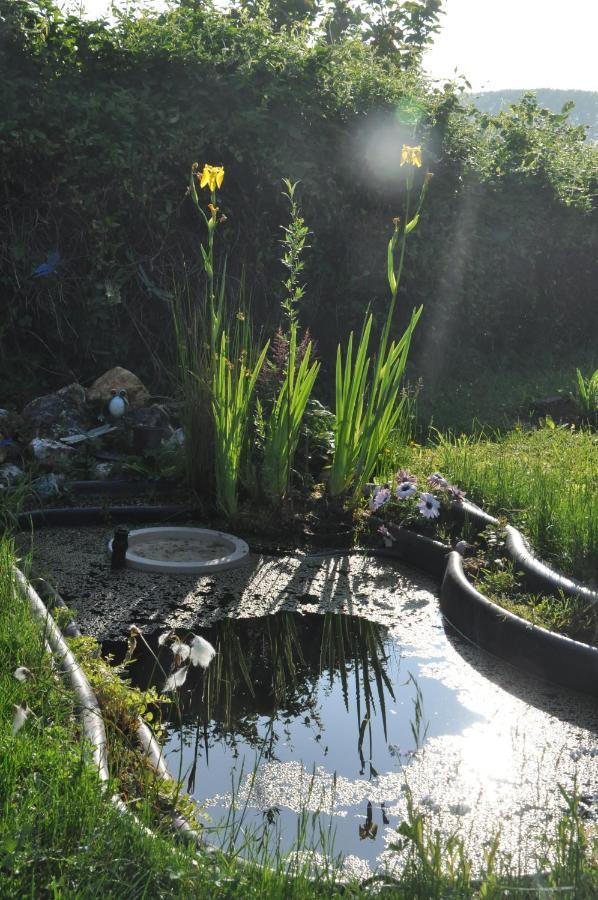 La Pie Grieche Bed & Breakfast Lucquy Dış mekan fotoğraf